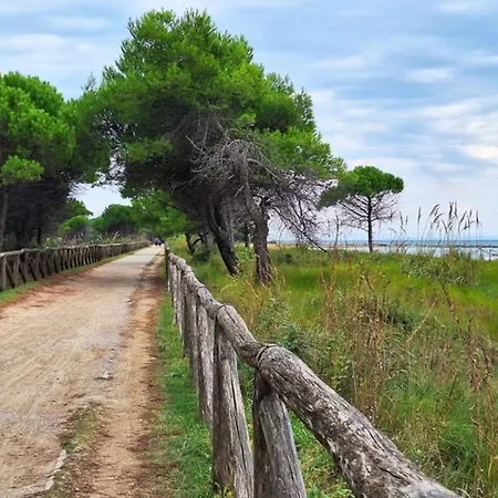 Lejlighed Lovely Bright Flat Near The